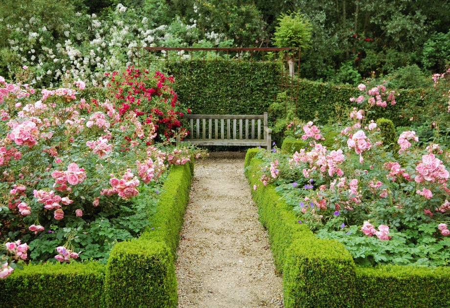an english garden with hedges, flowers, and a bench